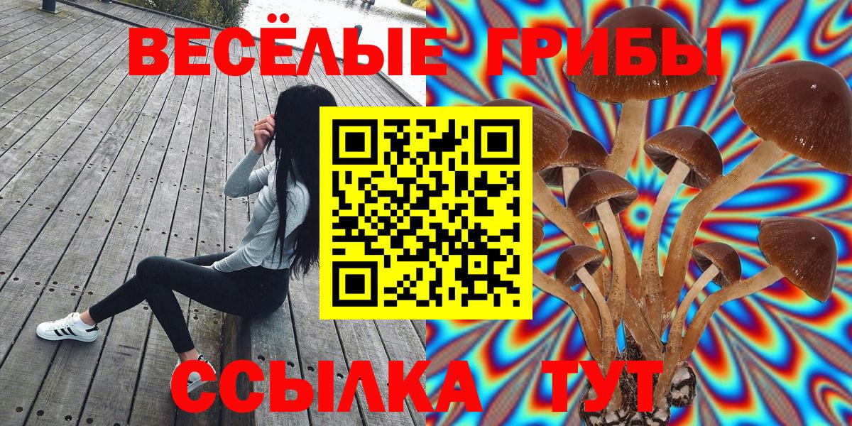 Качканар  Псилоцибиновые грибы ЛСД  Вход с VPN 