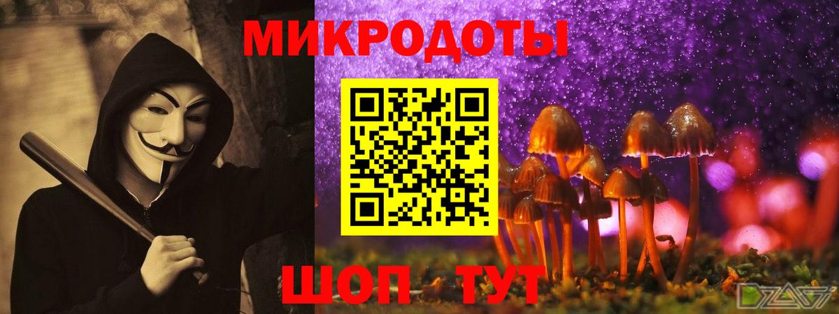 Псилоцибиновые грибы Psilocybine cubensis Качканар